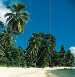 Стекло с рисунком пляж, пальмы